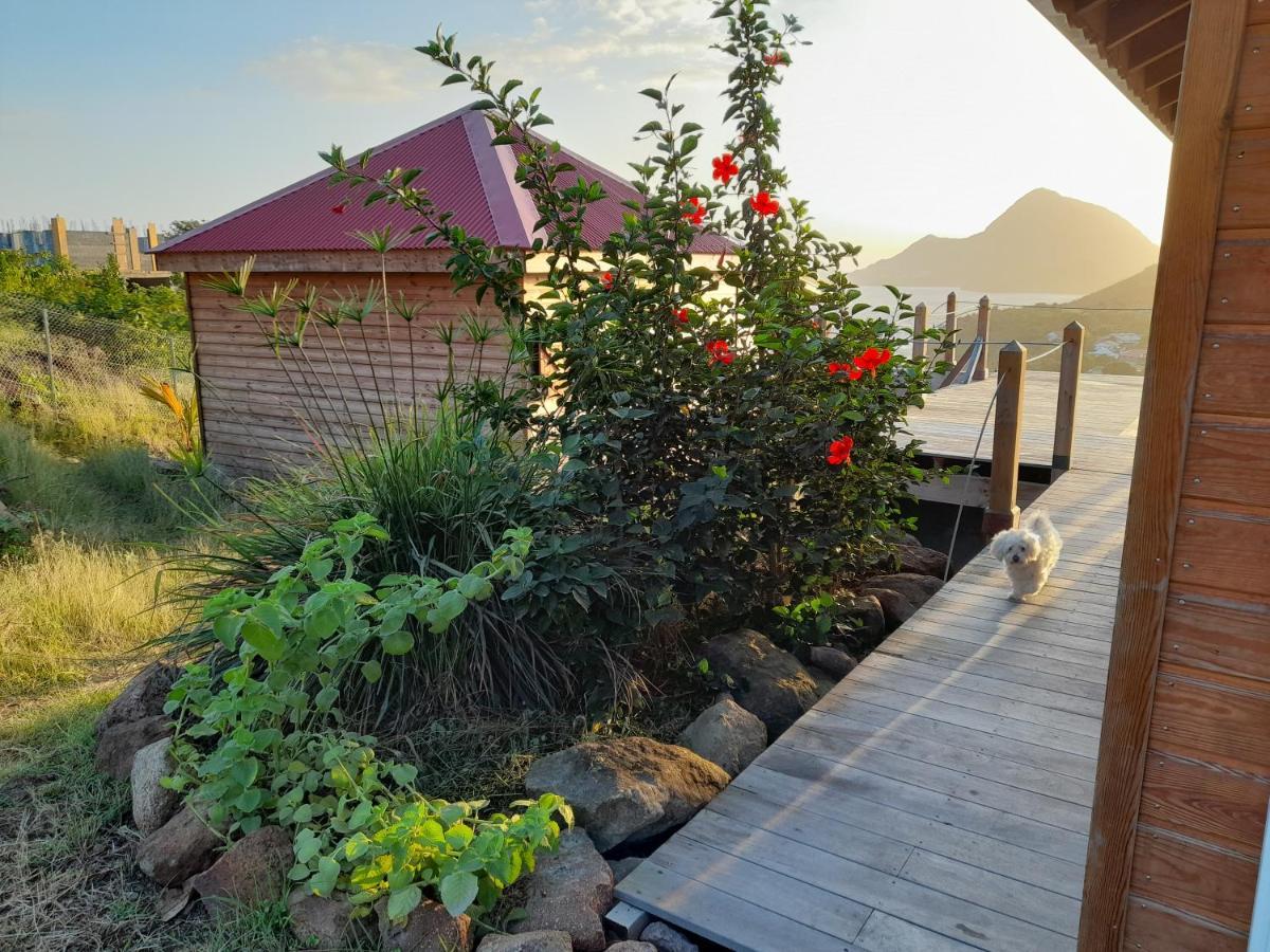 Ti Kaz Anoli Cottage En Bois Avec Vue Sur La Baie 下岛 外观 照片