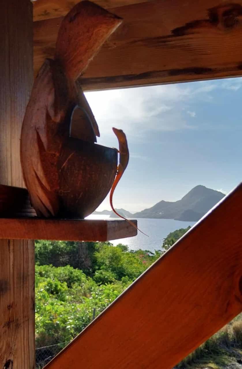 Ti Kaz Anoli Cottage En Bois Avec Vue Sur La Baie 下岛 外观 照片
